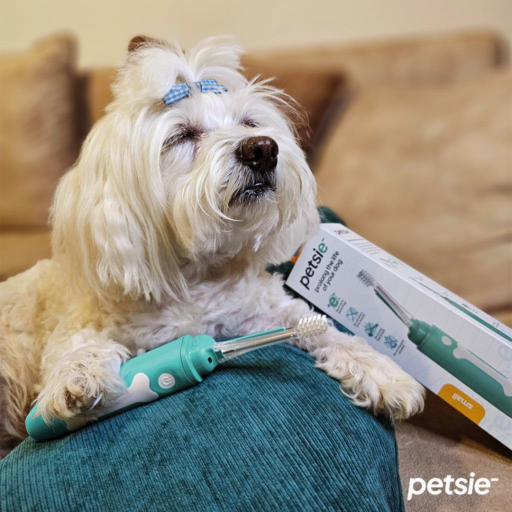 Petsie dog toothbrush (size L 20+kg)