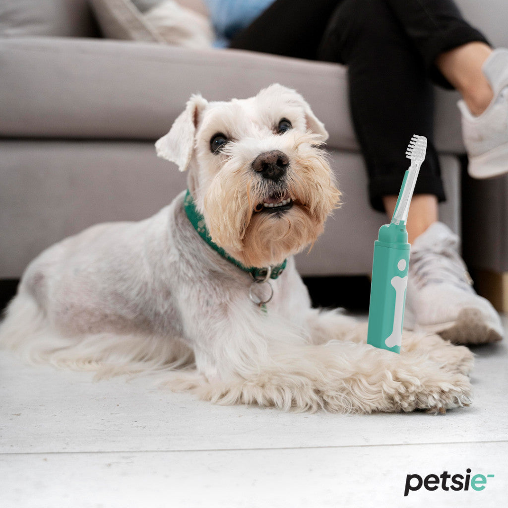 Petsie dog toothbrush (size L 20+kg)